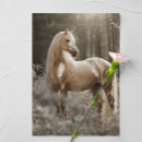 Zoek naar palomino kaarten Paard