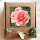 Zoek naar mooi stickers Fotografie