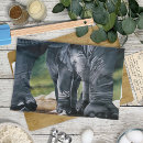 Zoek naar olifant keuken handdoeken Schattig