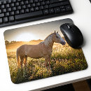 Zoek naar palomino muismatten Voor iedereen