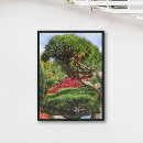 Zoek naar dennen posters Botanisch