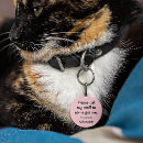 Zoek naar kattenpenningen Schattig