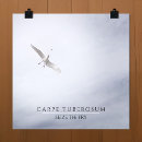 Zoek naar zeemeeuw posters Dieren