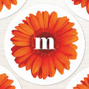 Zoek naar gerbera stickers Madeliefje