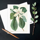 Zoek naar magnolia briefkaarten Botanisch