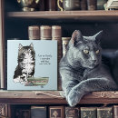 Zoek naar blauwe kat tegels Elk persoon