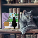 Zoek naar zwarte katten tegels Grappig