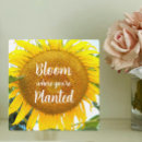 Zoek naar zonnebloem fotoplaat Inspirerend