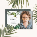 Zoek naar kameleon briefkaarten Regenwoud