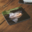 Zoek naar wildlife onderzetters Vogels