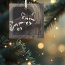 Zoek naar wasbeer ornamenten Wild