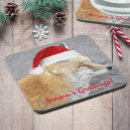 Zoek naar vossen onderzetters Griezelig