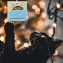 Zoek naar tabby cat ornamenten Grappig