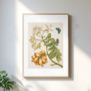 Zoek naar oranje vlinder posters Bloemen