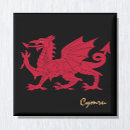 Zoek naar dragon magneten Welshe vlag