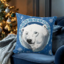 Zoek naar alaska kussens Blauw