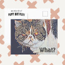 Zoek naar cats kaarten Elk persoon