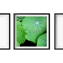 Zoek naar houtdruk posters Voor iedereen