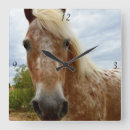 Zoek naar appaloosa klokken Voor iedereen