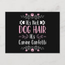 Zoek naar doge briefkaarten Poedel