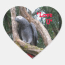 Zoek naar grijze papegaai stickers Dieren