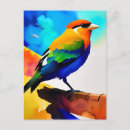 Zoek naar witte vogel briefkaarten Oranje