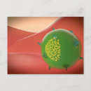 Zoek naar virologie posters Driedimensionaal