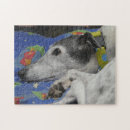 Zoek naar windhond puzzels Greyhound