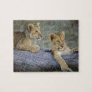 Zoek naar kenya puzzels Grote kat