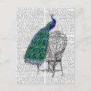 Zoek naar peacock briefkaarten Dieren