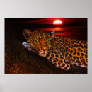 Zoek naar kat in boom posters Elk persoon