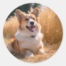 Zoek naar huisdieren stickers Voor haar