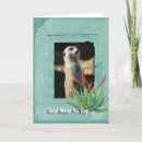 Zoek naar meerkat kaarten Natuur