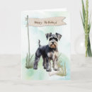 Zoek naar schnauzer hond kaarten Voor iedereen