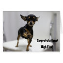 Zoek naar high five briefkaarten Vijf