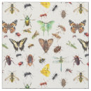 Zoek naar kevers knutsel hobby Insect