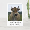 Zoek naar boerderij humor kaarten Foto
