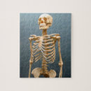 Zoek naar menselijke anatomie puzzels Botten