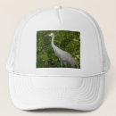 Zoek naar kraanvogel accessoires Vogels