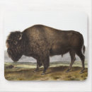 Zoek naar buffel muismatten Vintage