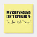 Zoek naar windhond magneten Elk persoon