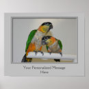 Zoek naar caique Dier