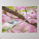 Zoek naar bloesem kunst Vogel