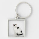 Zoek naar zwart witte kat sleutelhangers Schattig