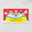 Zoek naar bath visitekaartjes Huisdier