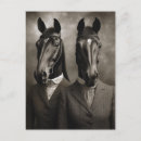 Zoek naar zwart wit paard briefkaarten Equine