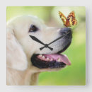 Zoek naar vlinder hond klokken Voor iedereen