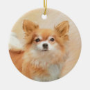 Zoek naar chihuahua hond ornamenten Rood