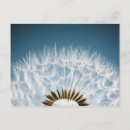 Zoek naar seed briefkaarten Tuin