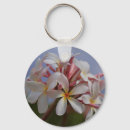 Zoek naar plumeria sleutelhangers Natuur